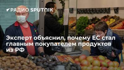 Эксперт объяснил, почему ЕС стал главным покупателем продуктов из РФ