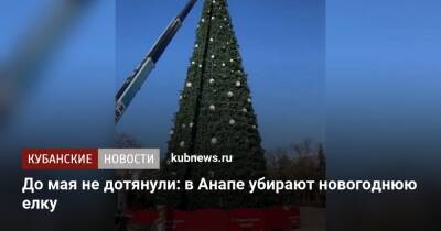 До мая не дотянули: в Анапе убирают новогоднюю елку - kubnews.ru - Анапа - Краснодарский край - Анапа