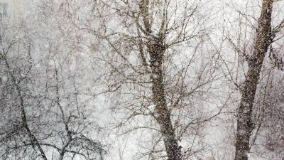 На Южный Урал надвигаются мокрый снег, метели и гололедица