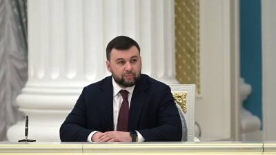 Глава ДНР Пушилин ратифицировал договор о дружбе и сотрудничестве с Россией