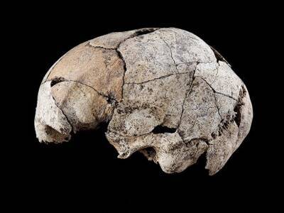 Древние жители Испании более пяти тысяч лет назад провели хирургическую операцию на ухе