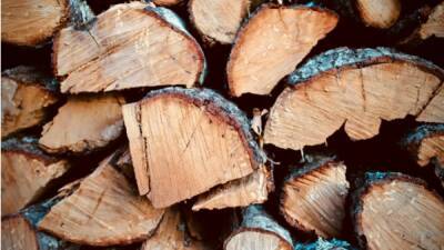Белоруссия может перекрыть канал поставок древесины в Литву