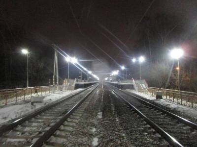 На железнодорожных путях г.о. Пушкинский произошел очередной несчастный случай