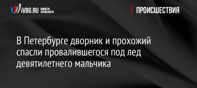 В Петербурге дворник и прохожий спасли провалившегося под лед девятилетнего мальчика