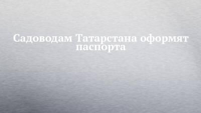 Садоводам Татарстана оформят паспорта