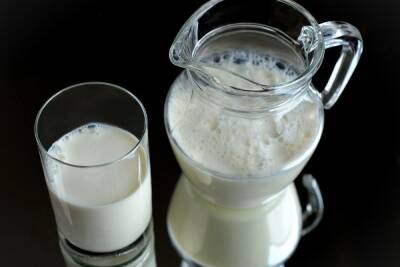 В Узбекистане предложили молоко с антителами в качестве средства профилактики коронавируса