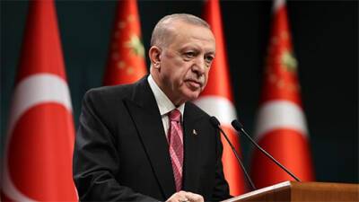 Эрдоган назвал неприемлемым решение России признать ОРДЛО