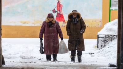 Информационный ресурс по качеству уборки снега запустили в Петербурге