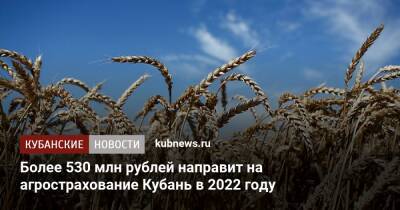 Более 530 млн рублей направит на агрострахование Кубань в 2022 году