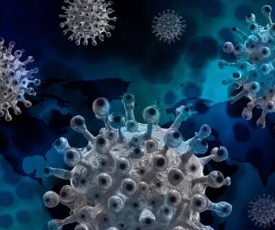 Иммунолог Ярцева спрогнозировала дальнейшее течение пандемии коронавируса