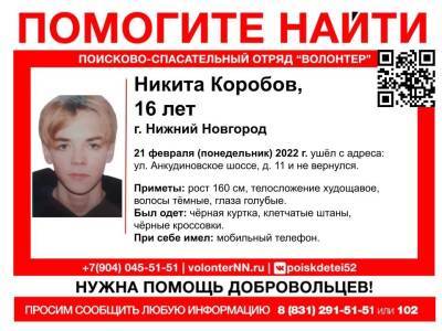 16-летнего подростка разыскивают в Нижнем Новгороде