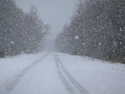 На Челябинскую область надвигается снежная буря