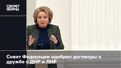 Совет Федерации одобрил договоры о дружбе с ДНР и ЛНР