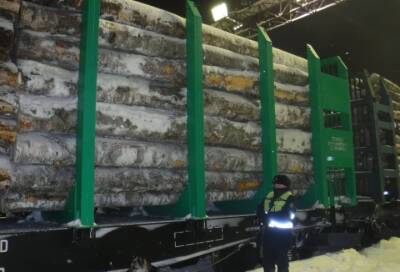 Таможенники в Светлогорске нашли под вагоном поезда тайник с тысячей сигаретных пачек