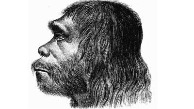 Гены неандертальцев защитили людей от заражения ВИЧ