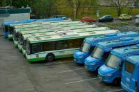 Санкции за нарушения при перевозке пассажиров хотят усилить - pnp.ru