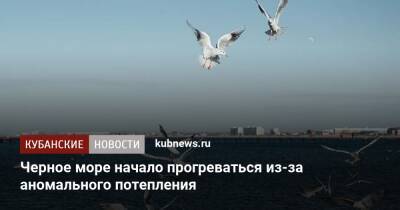 Черное море начало прогреваться из-за аномального потепления