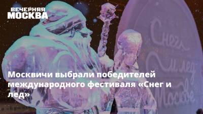 Москвичи выбрали победителей международного фестиваля «Снег и лед»