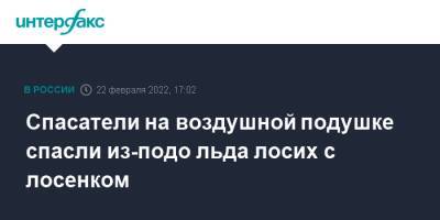 Юрий Власов - Спасатели на воздушной подушке спасли из-подо льда лосих с лосенком - interfax.ru - Москва - Нижегородская обл. - район Лысковский