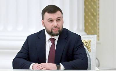 Пушилин: вопрос границ ЛНР и ДНР будет урегулирован позже