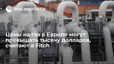 Fitch: цены на газ в Европе из-за ситуации вокруг Украины могут превышать тысячу долларов