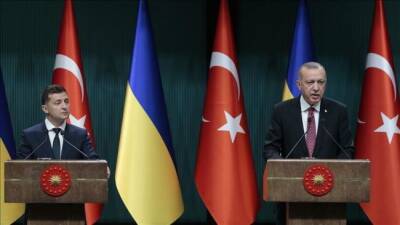 Зеленский поблагодарил Эрдогана за поддержку Украины в конфликте с ЛДНР и Россией