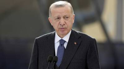 NTV: президент Турции Эрдоган досрочно завершил своё турне по Африке
