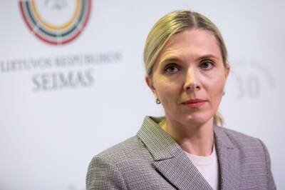 Глава МВД Литвы предлагает коллегам по ЕС выразить солидарность и встретиться на Украине