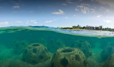 Каждый человек – коралл: на Запад пришла мода на захоронения в рифовых шарах
