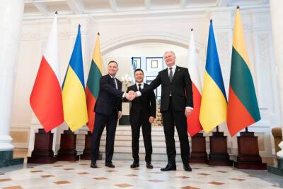 Президенты Литвы и Польши в среду встретятся в Киеве с Зеленским