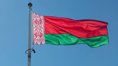 Явка в первый день досрочного голосования на референдуме в Белоруссии составила 6,19%
