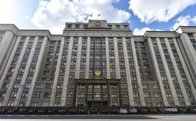 Госдума проголосовала за ратификацию соглашений о дружбе, сотрудничестве и взаимной помощи с ДНР и ЛНР