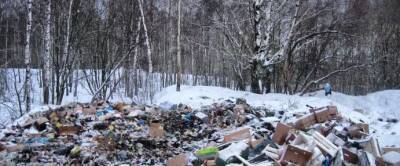 Более 100 депутатов подписали коллективную жалобу в связи с «мусорной реформой» в Петербурге