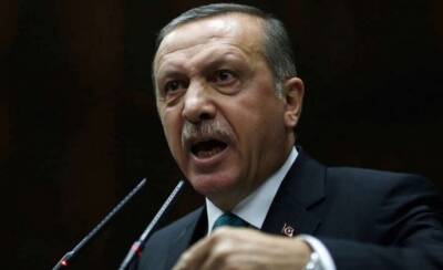 Эрдоган высказался по вопросу признания Москвой суверенитета ДНР и ЛНР