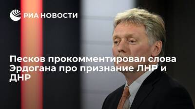 Пресс-секретарь Песков заявил, что у России и Турции есть разногласия