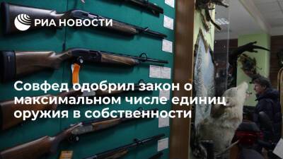 Совфед одобрил закон о максимальном числе единиц гражданского оружия в собственности