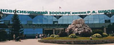 КСП Новосибирска уличила Новосибирский зоопарк в незаконном сборе платы за парковку