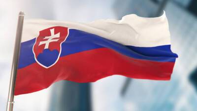 МИД Словакии сделал представление российскому послу Братчикову из-за признания ЛНР и ДНР