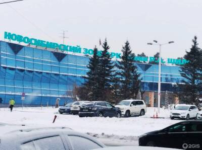 Новосибирский зоопарк незаконно собирал деньги за парковки на Жуковского и Стасова