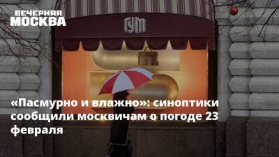 «Пасмурно и влажно»: синоптики сообщили москвичам о погоде 23 февраля