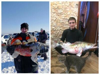Морда застряла в лунке: под Новосибирском рыбак еле вытащил из воды судака весом 8 килограммов