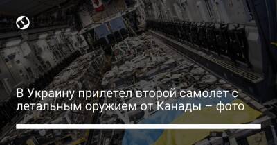 В Украину прилетел второй самолет с летальным оружием от Канады – фото