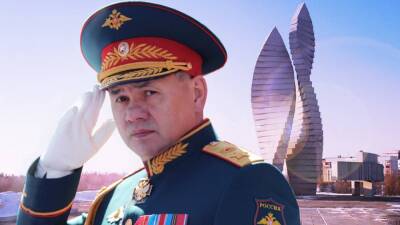 Шойгу отметил эффективность ВС РФ в обеспечении безопасности страны