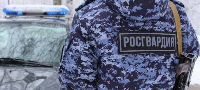 В Петрозаводске росгвардейцы задержали мужчину, угрожавшего матери расправой