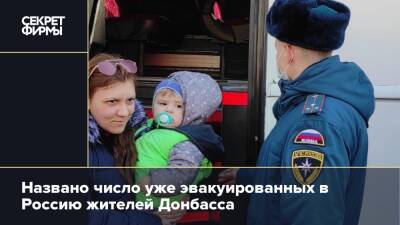 Названо число уже эвакуированных в Россию жителей Донбасса