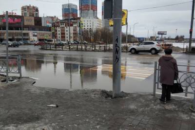 Переход рядом с ТЦ «Глобус» в Рязани вновь затопило
