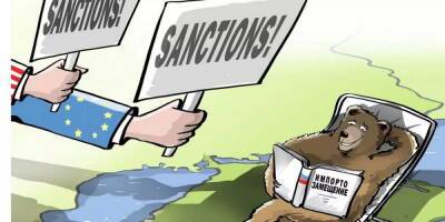 Политик-майданщик причитает: Россия огромная, санкции ей ни по чем