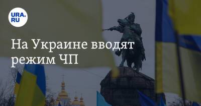 На Украине вводят режим ЧП