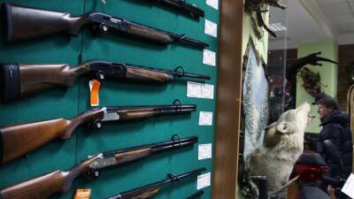 Рада предварительно одобрила законопроект о свободном владении оружием гражданами