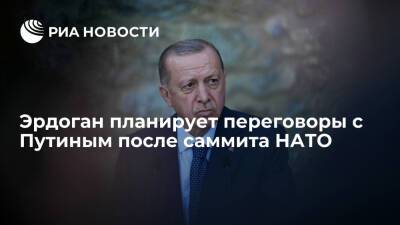 Глава Турции Эрдоган планирует переговоры с Путиным после саммита НАТО